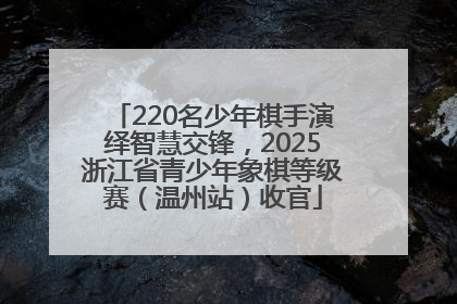 220名少年棋手演绎智慧交锋，2025浙江省青少年象棋等级赛（温州站）收官